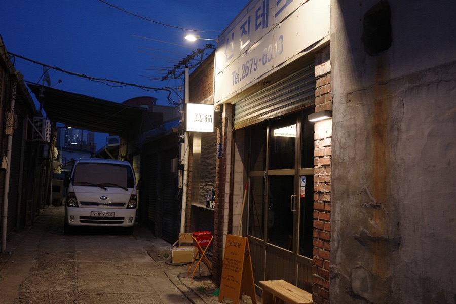토리냥 사진 2