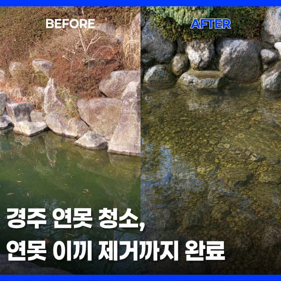경주 울산 체육센터 야외 연못 청소