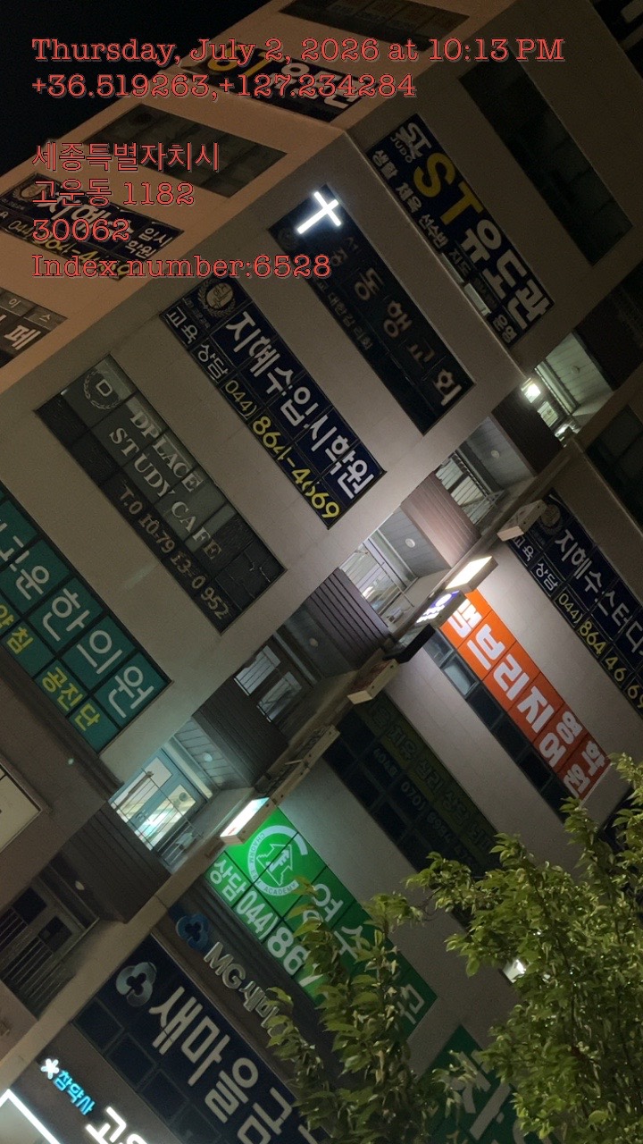강아지 슬개골탈구 수술 비용 및 회복 과정 안내 — 사진 2
