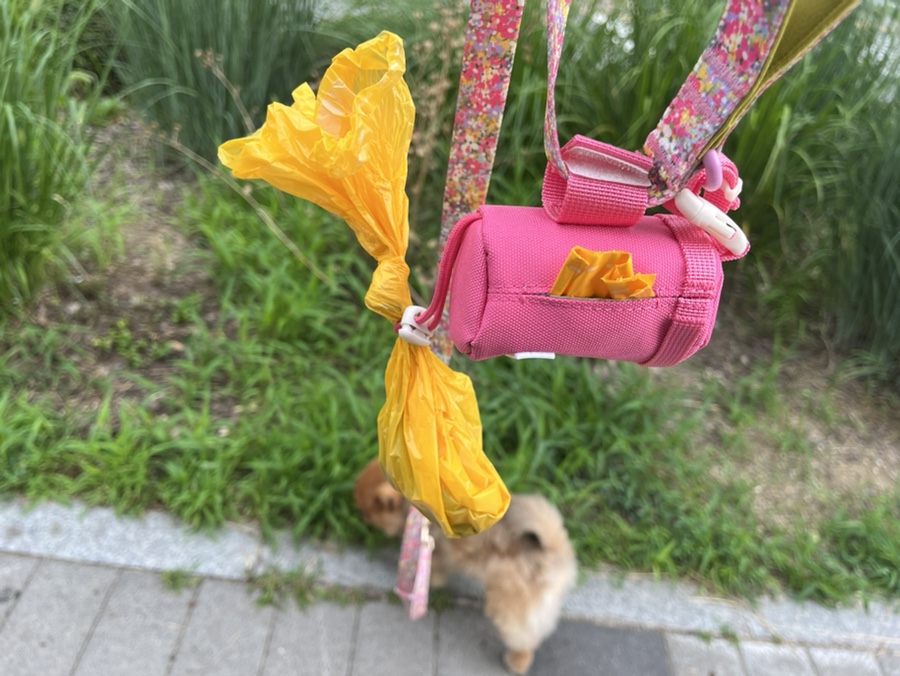 아이캔더 하네스 세트, 강아지 산책 필수템 후기 — 사진 17