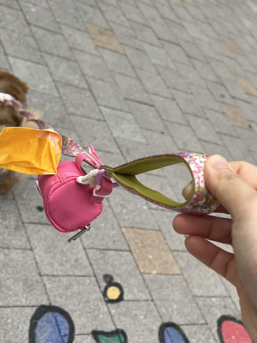 아이캔더 하네스 세트, 강아지 산책 필수템 후기 — 사진 9
