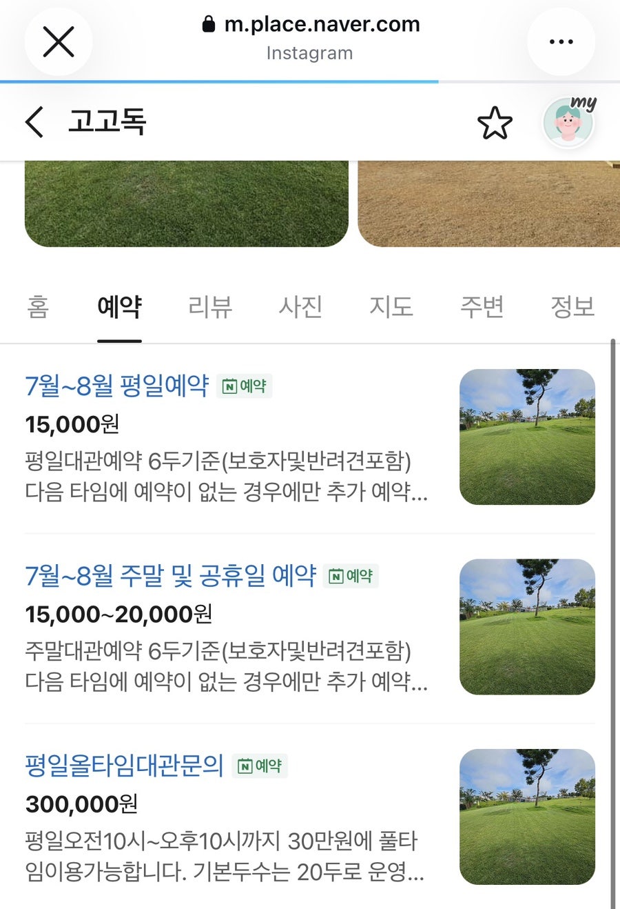 진천 고고독 강아지 놀이터 대관 후기