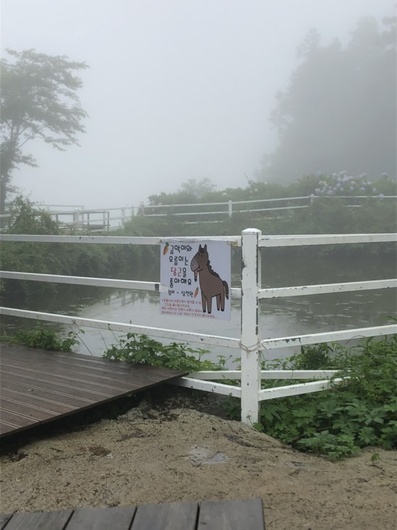 해안로보말칼국수 저지점 사진 4