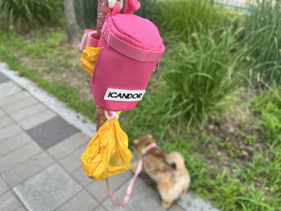 아이캔더 하네스 세트, 강아지 산책 필수템 후기 — 사진 19