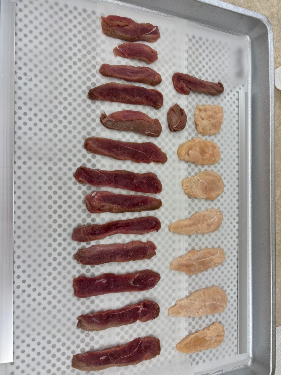 부평 펫푸드 자격증: 강아지 수제간식 학원 선택 가이드 — 사진 8