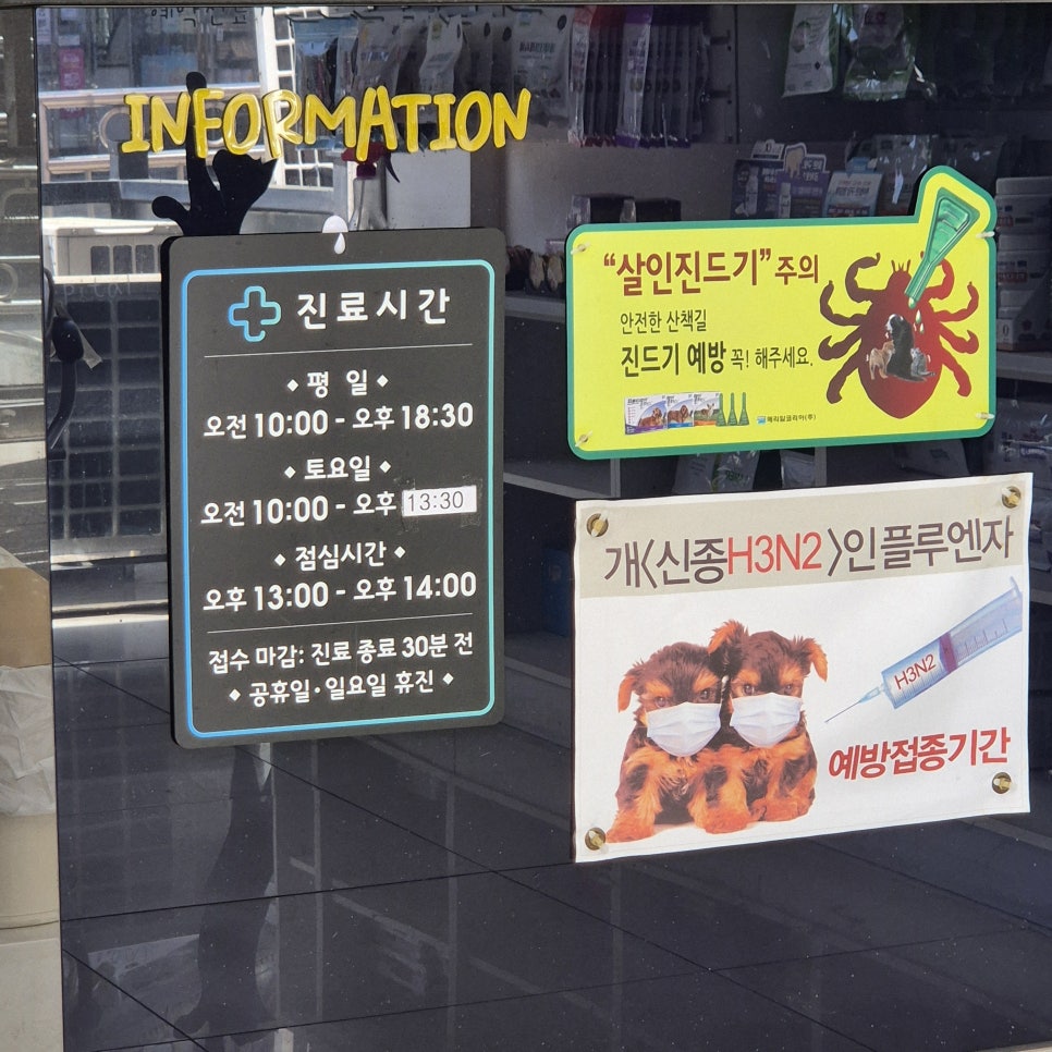 청주 말티푸 잠복고환 중성화 수술 비용 및 후기 — 사진 8