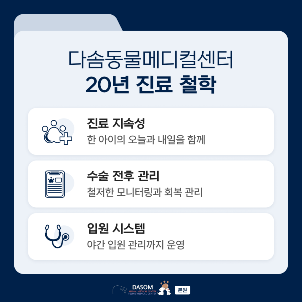 부산 동물병원 추천: 다솜 20년 진료 경험과 분과별 협진 시스템 — 사진 4