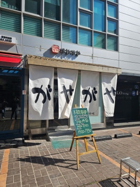 가야가야 사진 3