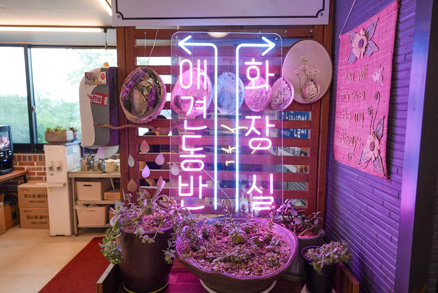 속초 애견동반 물회 맛집, 속초해녀마을 아침 식사 — 사진 6