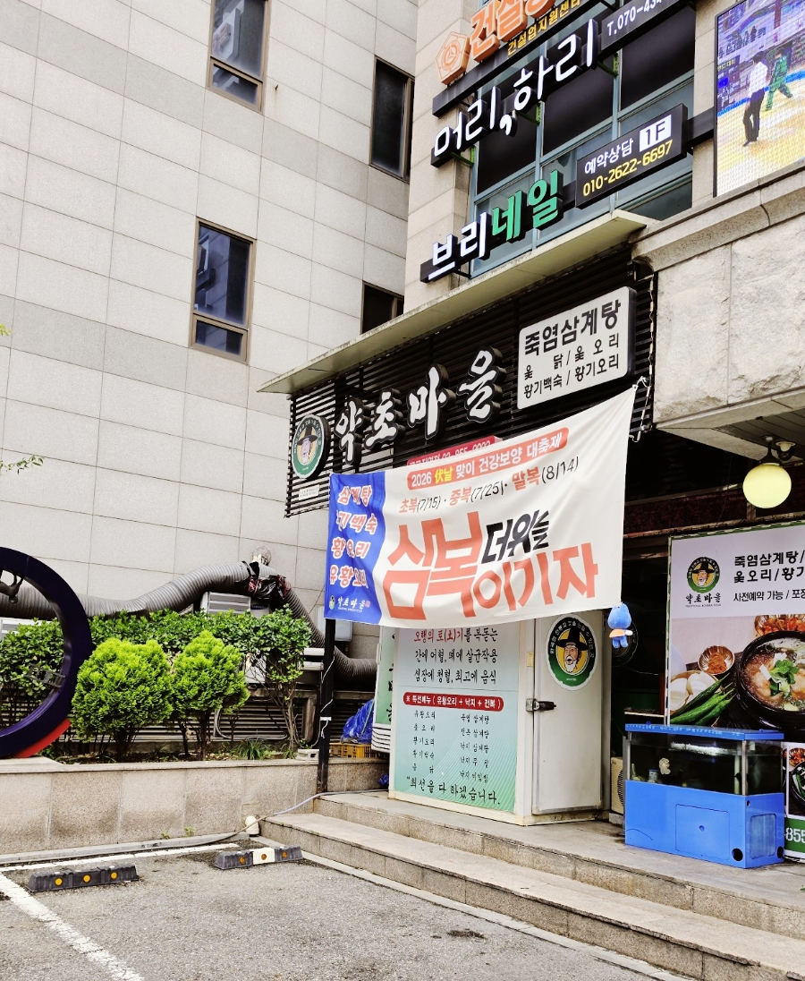 약초마을 사진 2