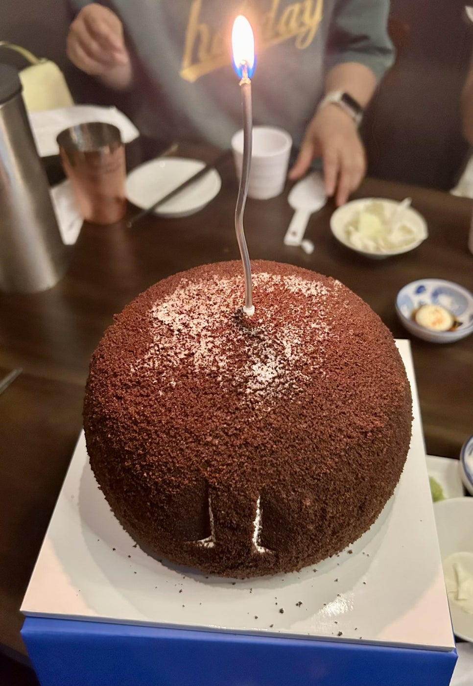 치카디 사진 5