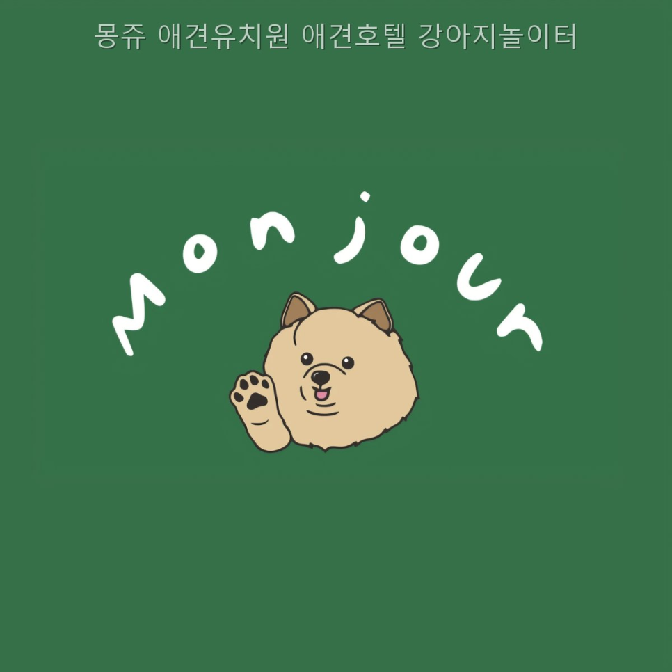 동탄 애견유치원 몽쥬, 놀이터·호텔까지 한눈에