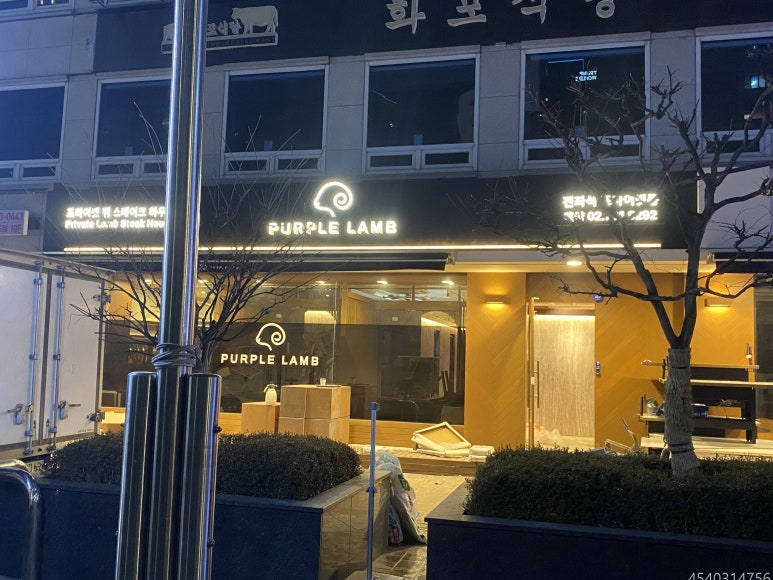 퍼플램 사진 3