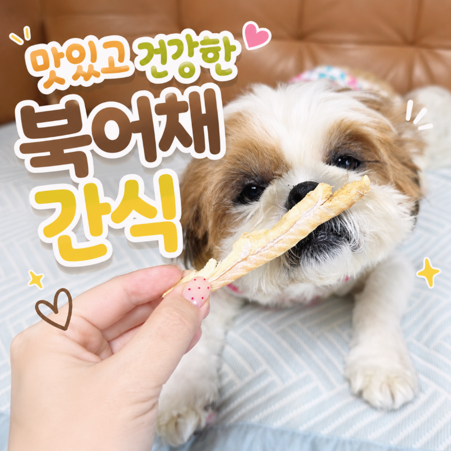 강아지 북어채 간식, 건강하게 급여하는 방법은?