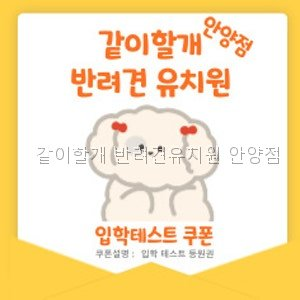 같이할개 반려견유치원 안양점: 소수 정예 예약제 운영 — 사진 3
