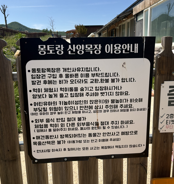 태백 몽토랑 산양목장: 아이와 함께하는 힐링 가족 여행 코스 추천 — 사진 4