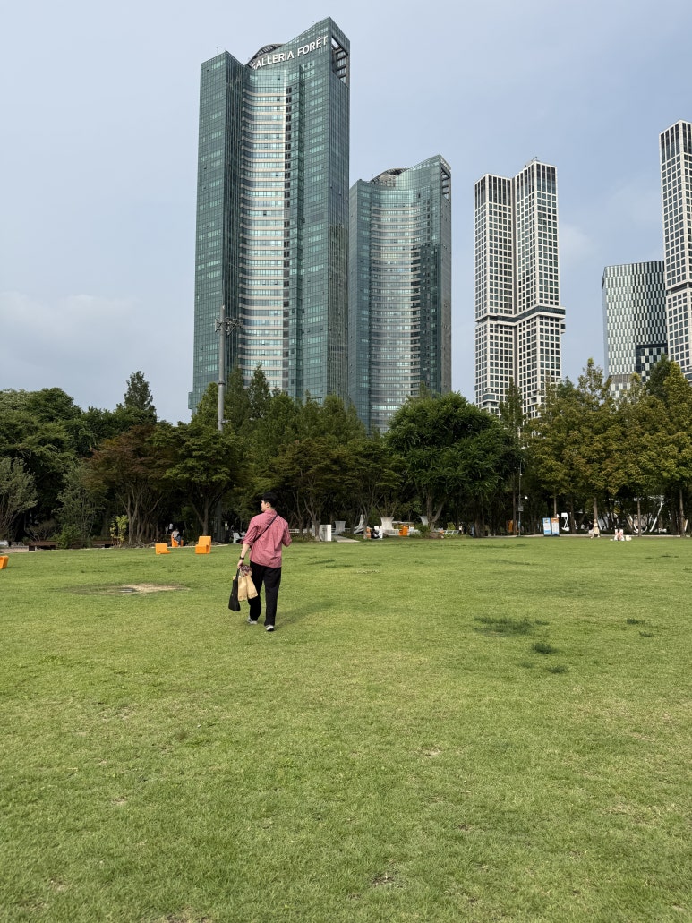 엘몰리노 사진 8