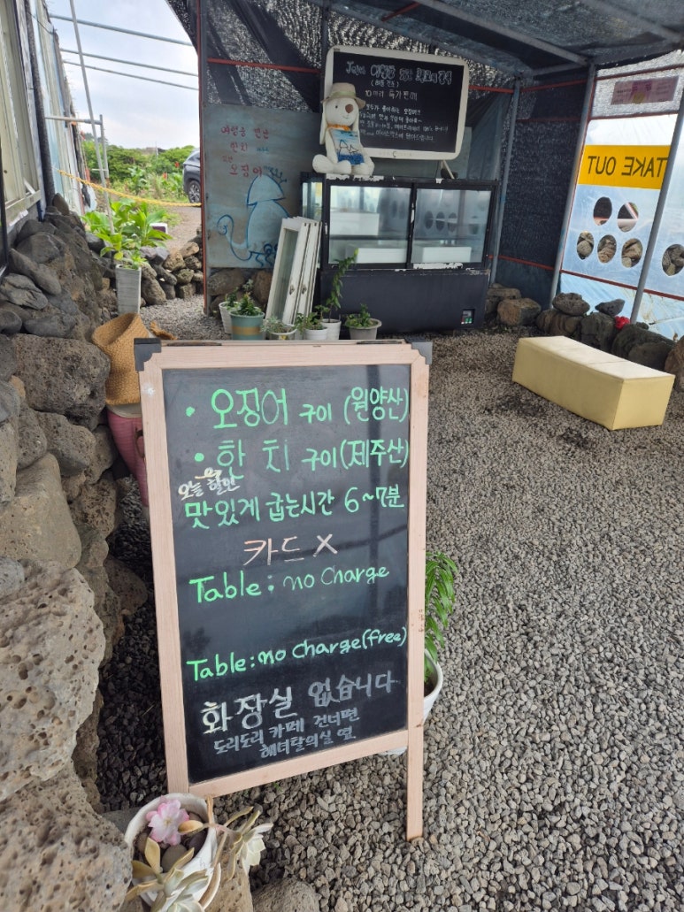 돌담위에토끼 사진 7