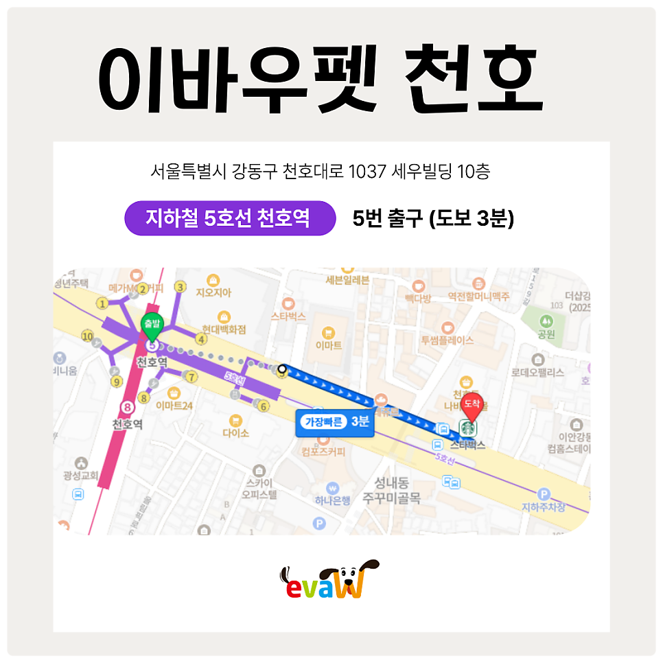 천호 애견미용 학원, 국비지원 대신 특별지원으로 실력 완성 — 사진 5