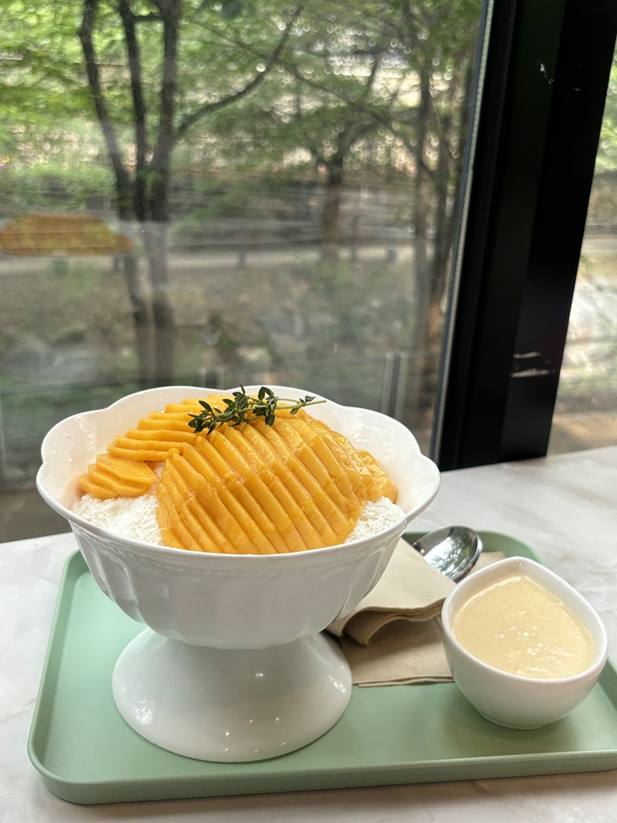 광교 애견동반 카페 세이지, 망고빙수와 디저트 후기 — 사진 7