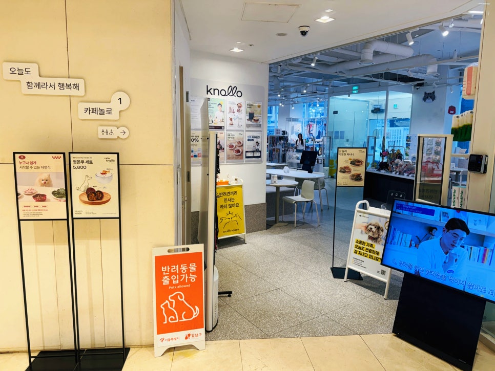 강남 애견동반 카페 놀로스퀘어, 반려견과 즐기는 브런치 — 사진 3