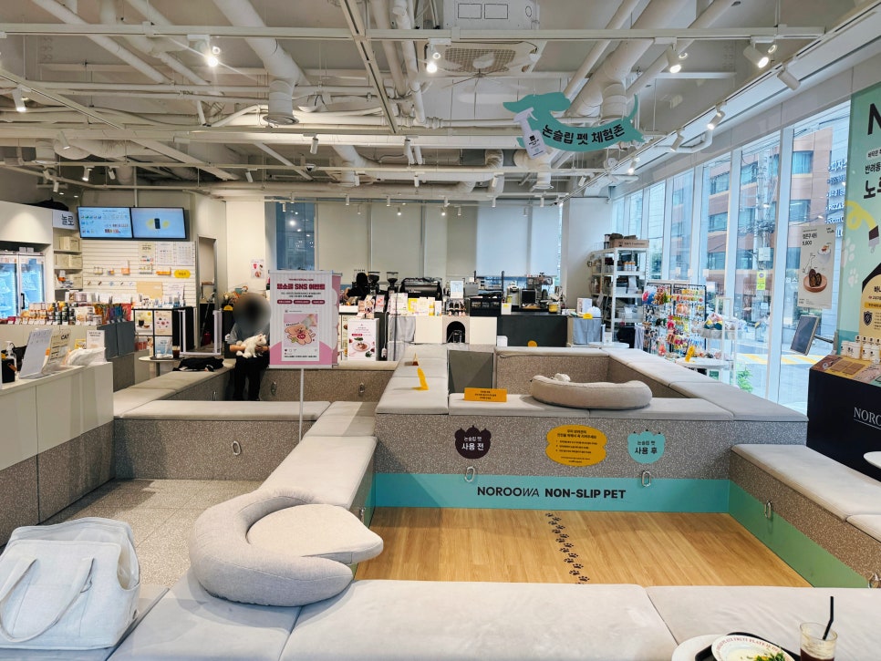 강남 애견동반 카페 놀로스퀘어, 반려견과 즐기는 브런치 — 사진 7