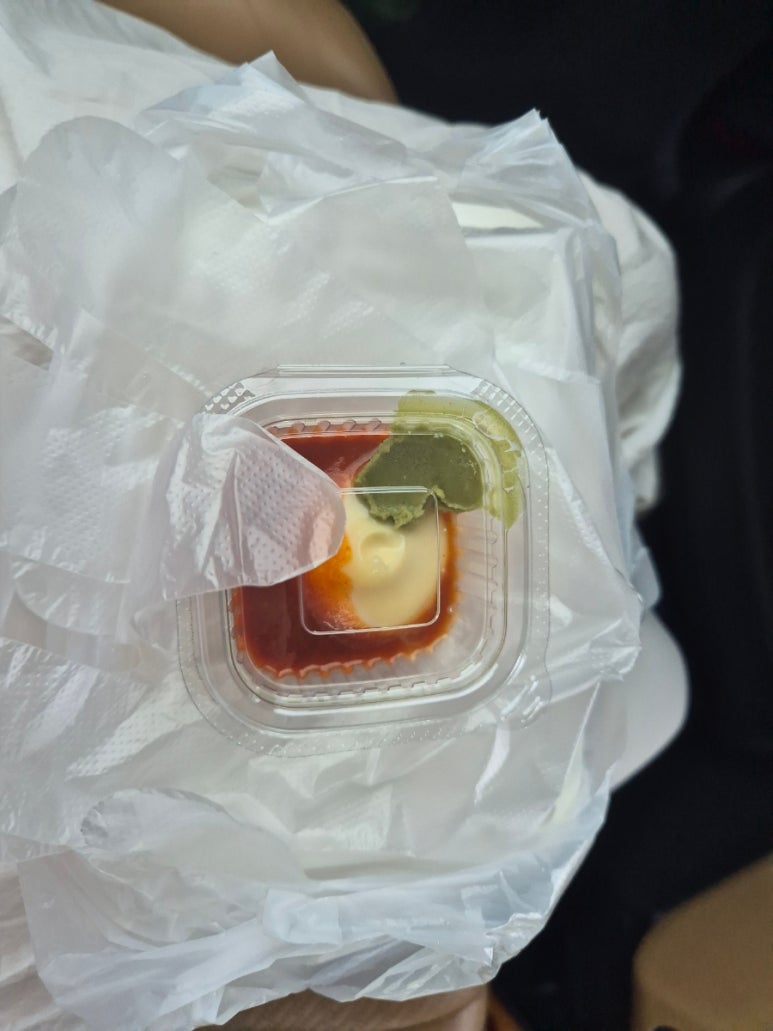 돌담위에토끼 사진 5