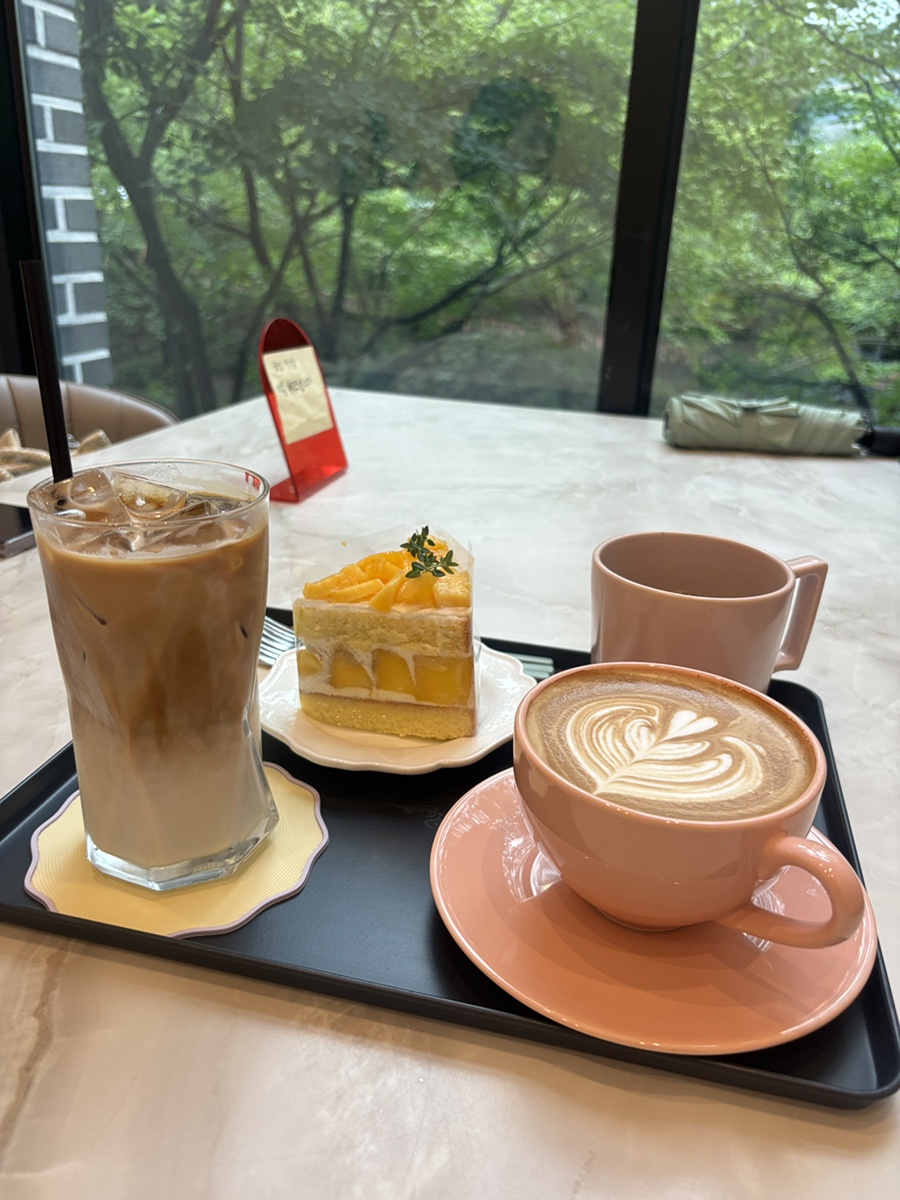 광교 애견동반 카페 세이지, 망고빙수와 디저트 후기 — 사진 13