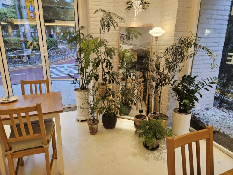 더리피코너 사진 8