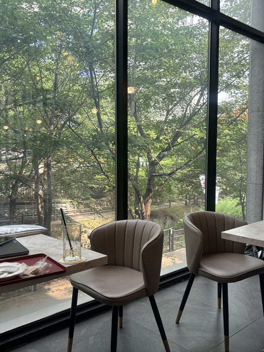 광교 애견동반 카페 세이지, 망고빙수와 디저트 후기 — 사진 4