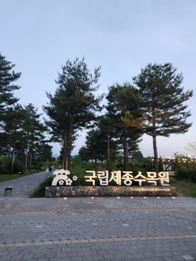 하이디라오 영등포점 사진 6