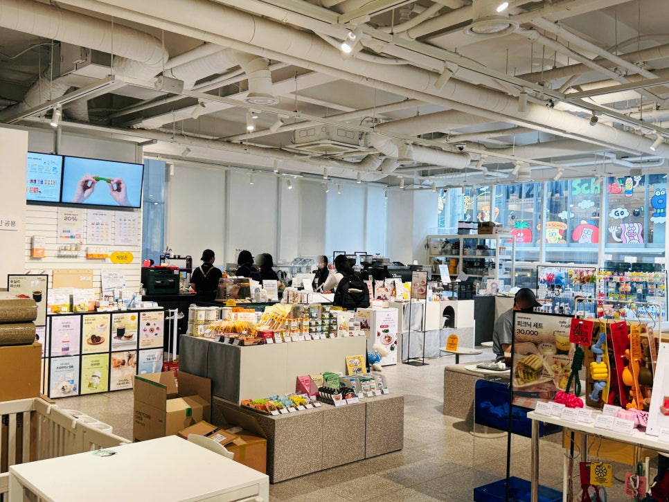 강남 애견동반 카페 놀로스퀘어, 반려견과 즐기는 브런치 — 사진 6