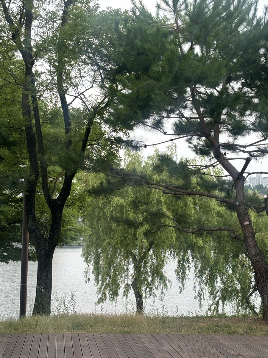 광교 애견동반 PPK키친, 파스타·화덕피자 맛집 후기 — 사진 15