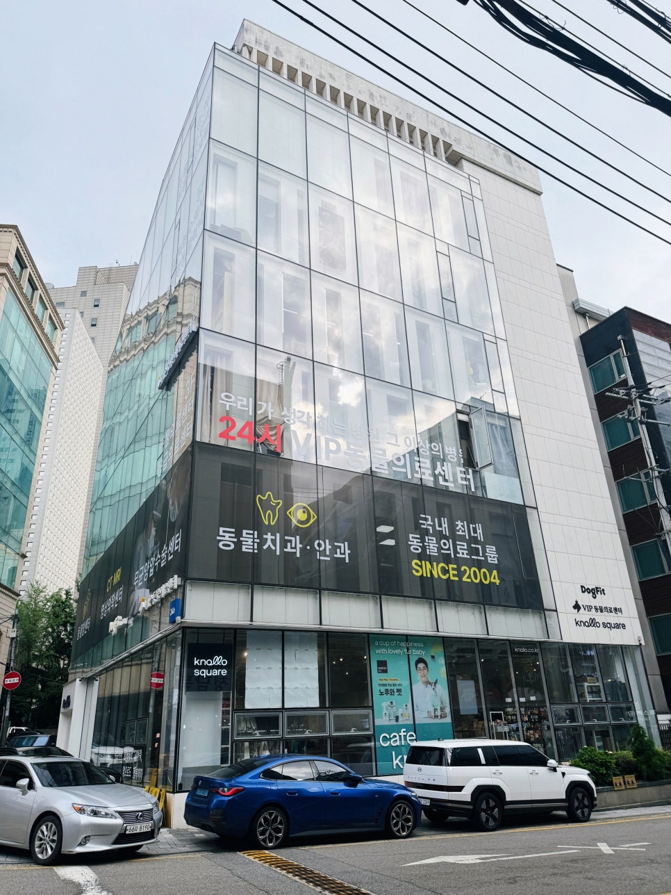 강남 애견동반 카페 놀로스퀘어, 반려견과 즐기는 브런치 — 사진 4