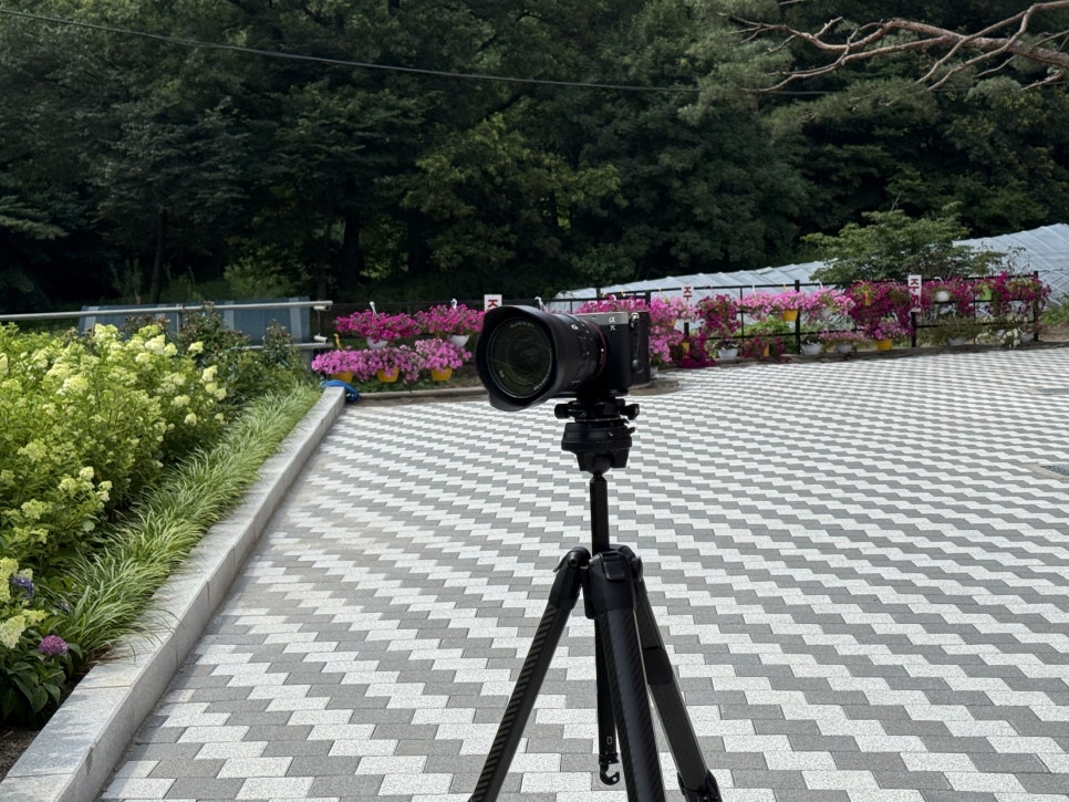 헤이피PAN01 파노라마플레이트, 소니 A7C2에 사용해보니 파노라마촬영이 달라진 이유 이미지 16