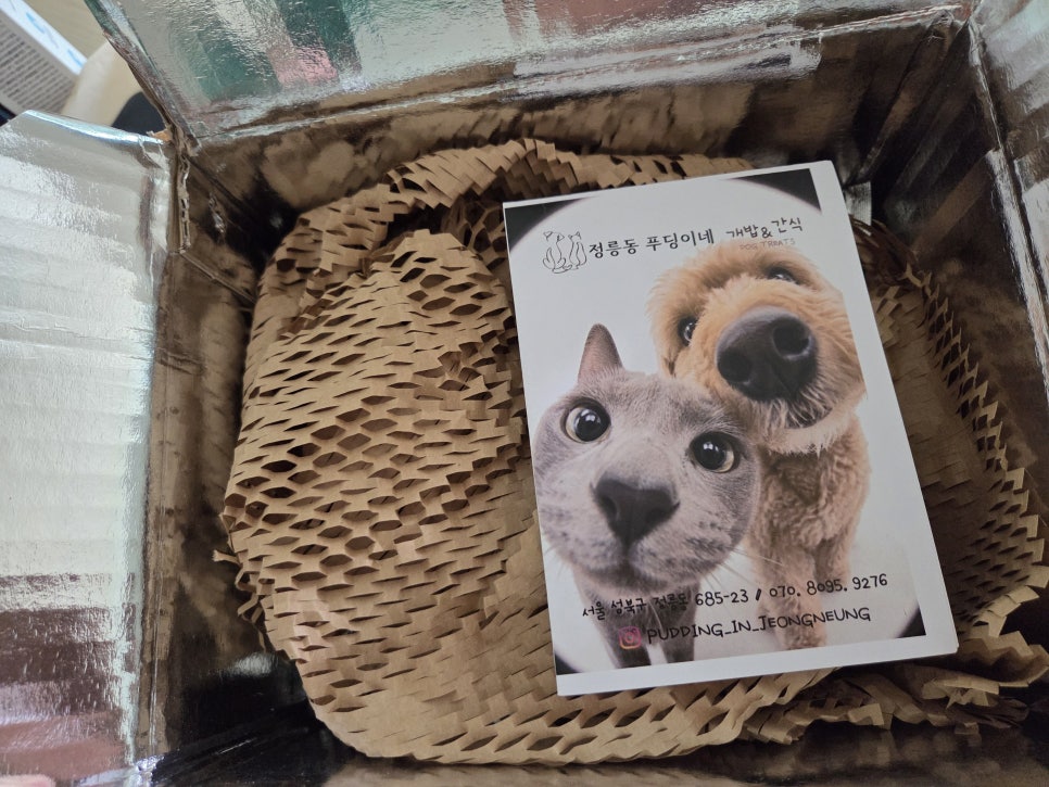 정릉동 푸딩이네 수제강아지간식 추천