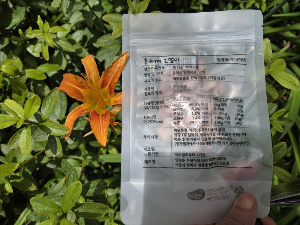 정릉동 푸딩이네 수제강아지간식 추천 — 사진 7