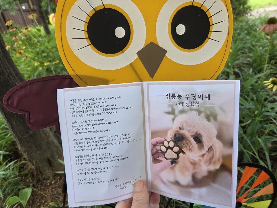 정릉동 푸딩이네 수제강아지간식 추천 — 사진 13