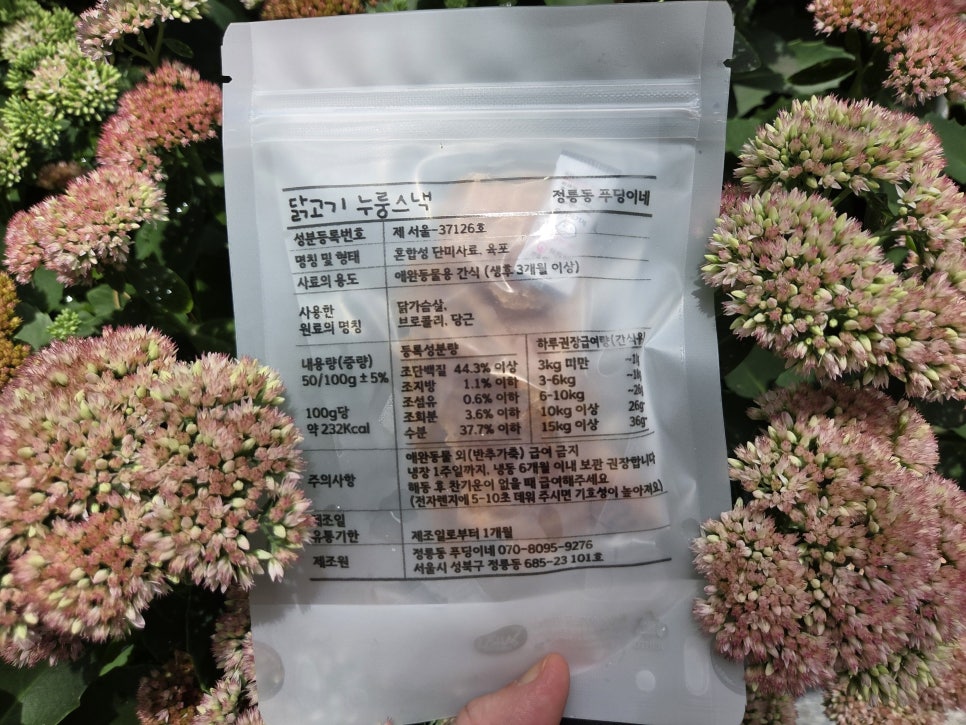 정릉동 푸딩이네 수제강아지간식 추천 — 사진 8