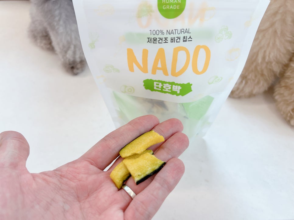 강아지 단호박 간식, 여름철 건강 보양식으로 딱! — 사진 8