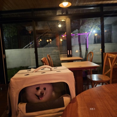 요이땅삐삐 사진 4