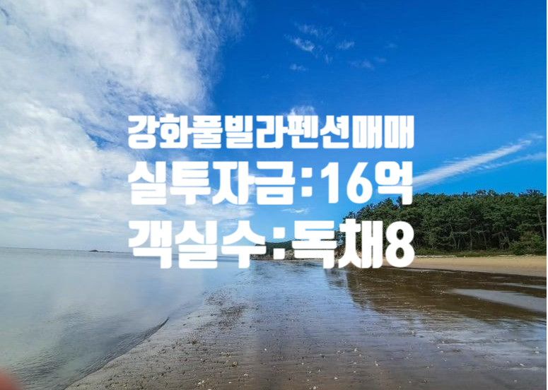 인천 강화 독채형 풀빌라 펜션 매매: 키즈·애견 동반 가능