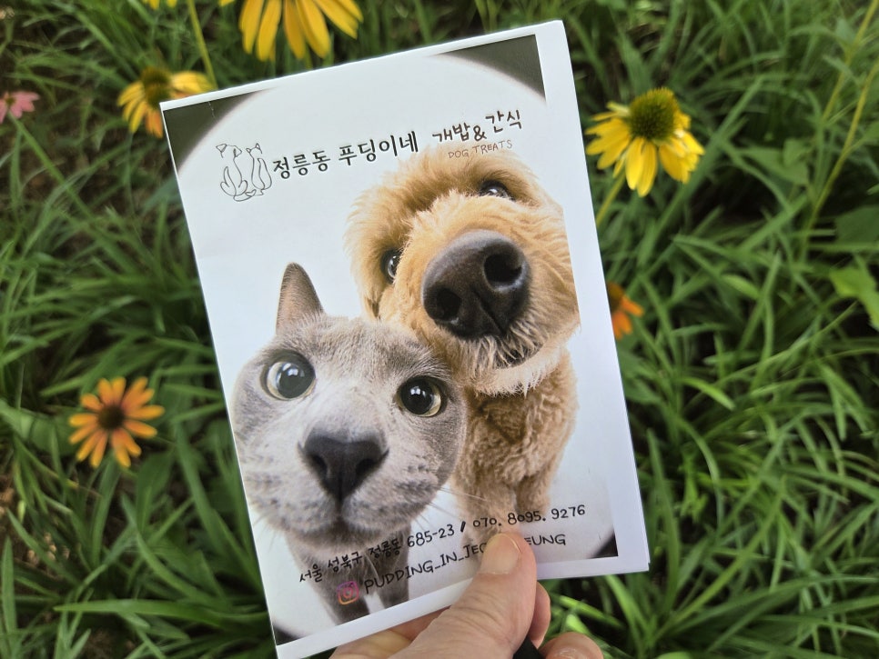 정릉동 푸딩이네 수제강아지간식 추천 — 사진 11