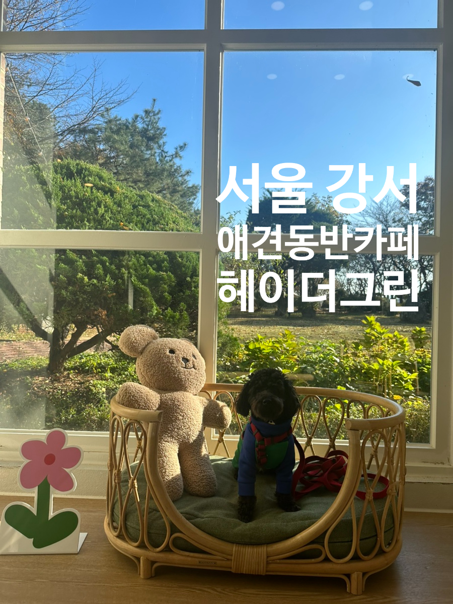 강서 애견동반카페 헤이더그린, 강아지랑 여행하기 좋은 곳 — 사진 5