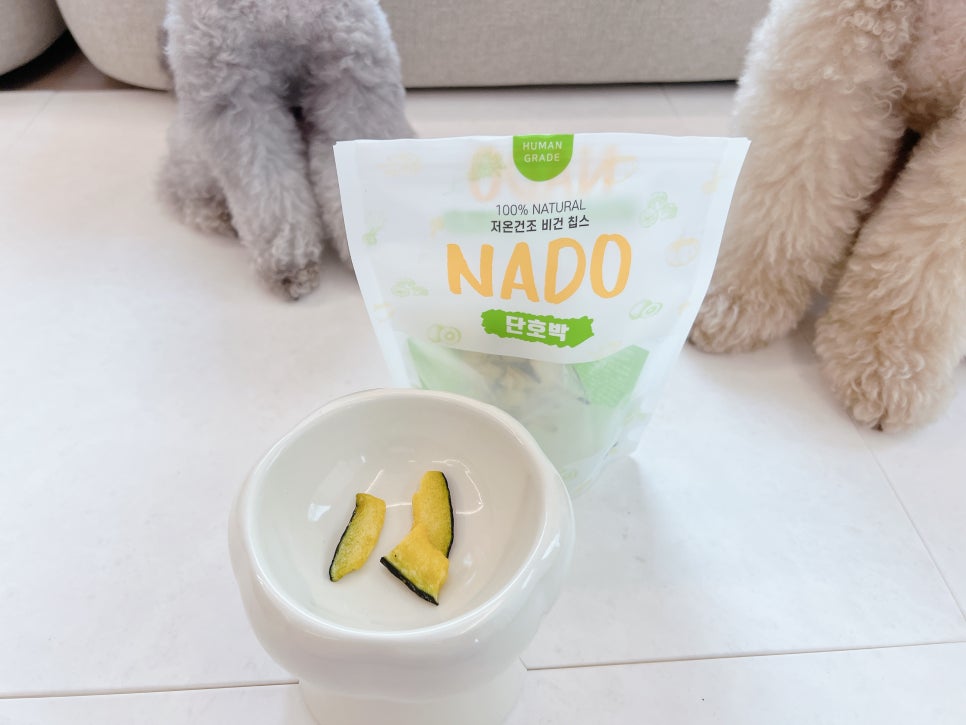 강아지 단호박 간식, 여름철 건강 보양식으로 딱! — 사진 9