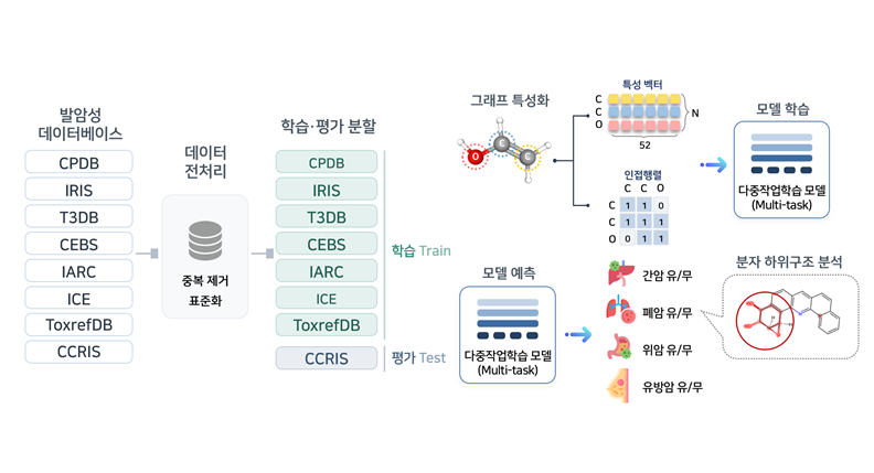 AI로 화학물질 발암 위험 예측한다 4개 장기 동시 분석 모델 개발 최근 분위기가 확 바뀌었다 이미지 2