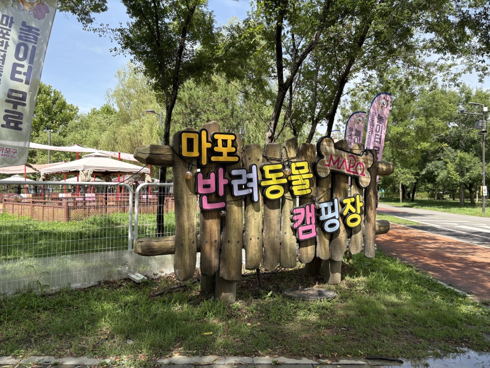 마포 강아지 펫푸드 출장 클래스 후기