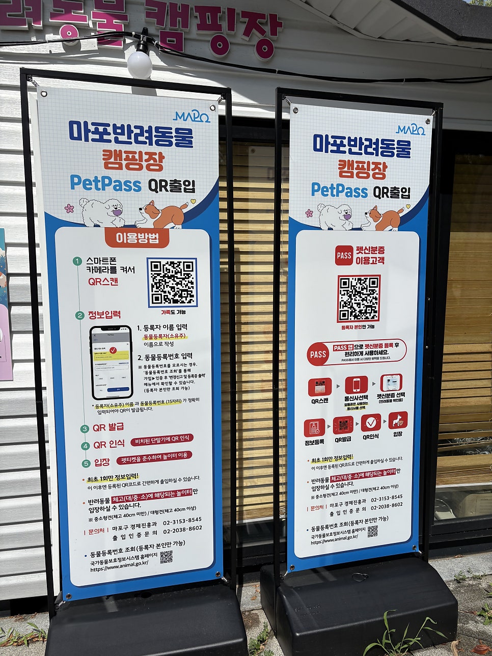 마포 강아지 펫푸드 출장 클래스 후기 — 사진 3