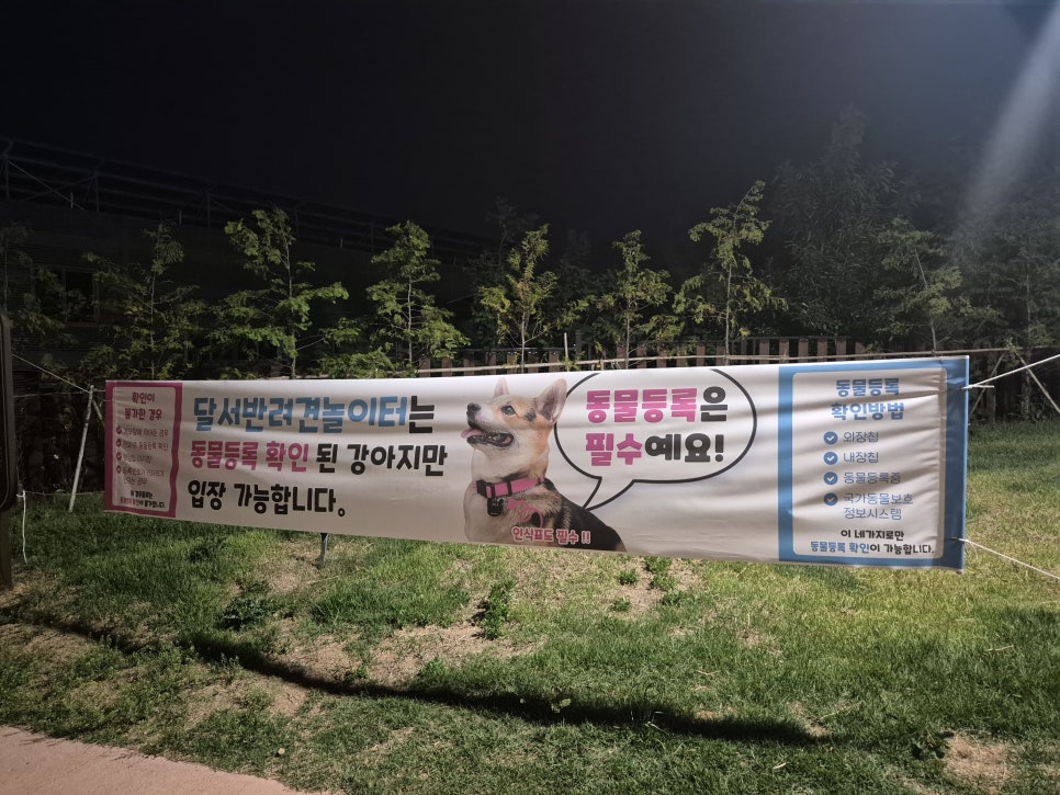 반려견 아로마 샴푸 만들기: 달서반려견 놀이터 클래스 후기 — 사진 2