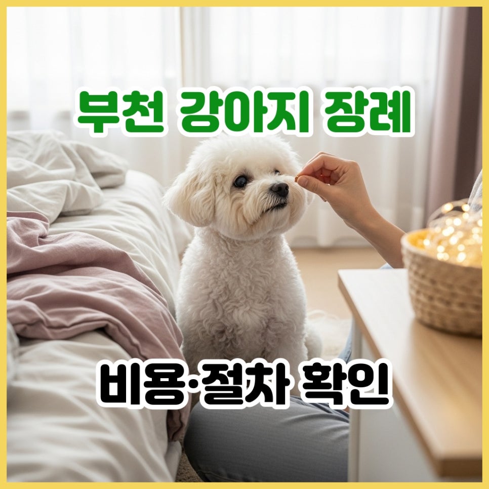 부천 강아지 장례, 합법 기준부터 비용까지 완벽 안내